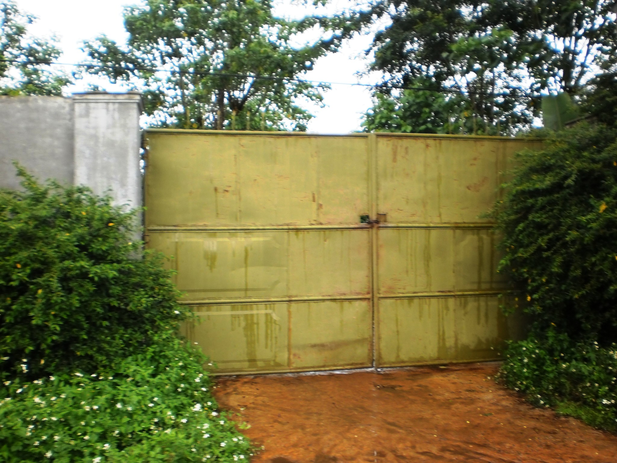 Trại[-]chăn[-]nu&ocirc;i[-]heo[-]của[-]&ocirc;ng[-]Lịnh[-]lu&ocirc;n[-]kh&oacute;a[-][-]k&iacute;n[-]cổng.[-]